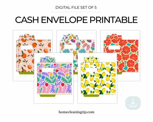 Fun Prints Set of 5 Cash Envelope Digital Templates